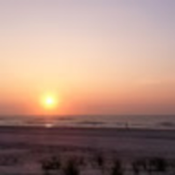 Meet your Posher, Monica - Picture 1 of 1